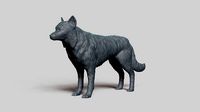 Border Collie V3 | 3D