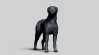 Irish Wolfhound V1 | 3D