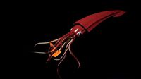 Giant deep sea squid
