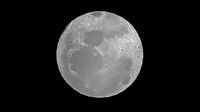 Moon Med Quality Free
