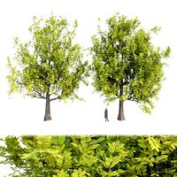 Trees collection vol 14