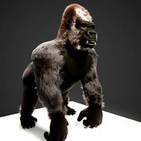 Gorilla blend file