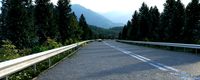 Forest road