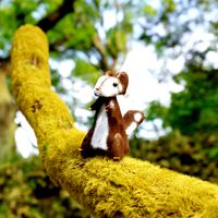 squirrel