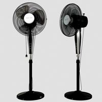 fan