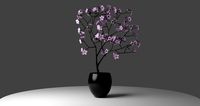 pink blossom cherry