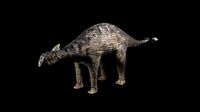ankylosaurus