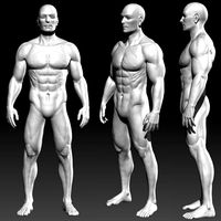 male basemesh