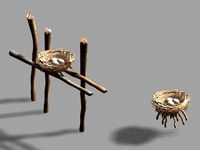 birds nest 0157