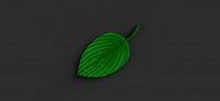 green leaf