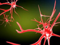 neurons cells medical animation video models