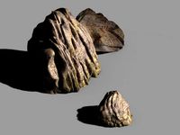 wind magic valley-stone 08