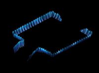 terrain-seabed-fish railing
