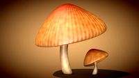mushroom 3