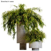 branches in vases 14 hakonechloa