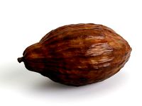 cocoa pod
