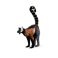 lemur