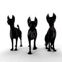 sphynx cat