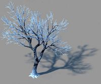 garden-garden-tree 41