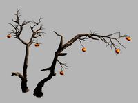 fairy trail forest-persimmon tree 04