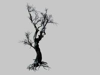 vampire-dead tree 25