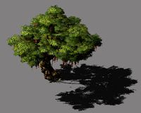 blessing-ornaments-wishing tree 12