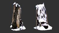 stump with snow