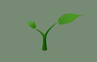plant sprout