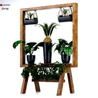 wooden stand of plants collection