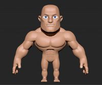 male anatomy