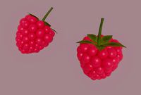 raspberry