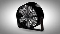 fan