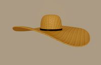 straw sun hat
