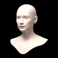 female ideal head base mesh