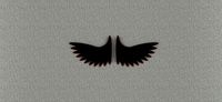 wings