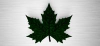 maple leaf