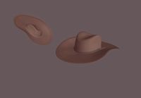 cowboy hat