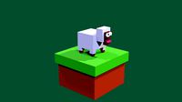 sheep