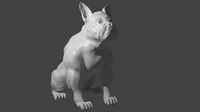 bulldog