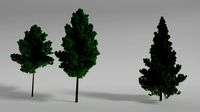 three trees