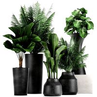 collection of decorative plants in flowerpots 830