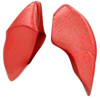 human healthy lungs