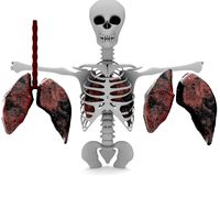 smoker lungs