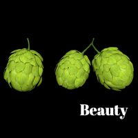 hops hernb animation loop handle realistic