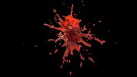 splash 2