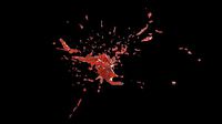 splash 1