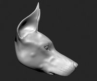 doberman head