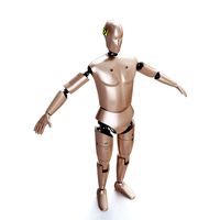 male crash test dummy