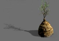 green plants-landscape-small tree 55