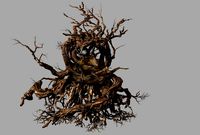 phoenix nest-bird nest-tree root
